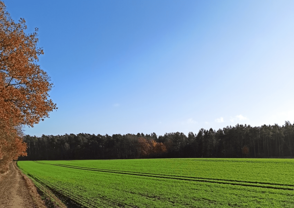 Herbstwalk bei Sonnenschein