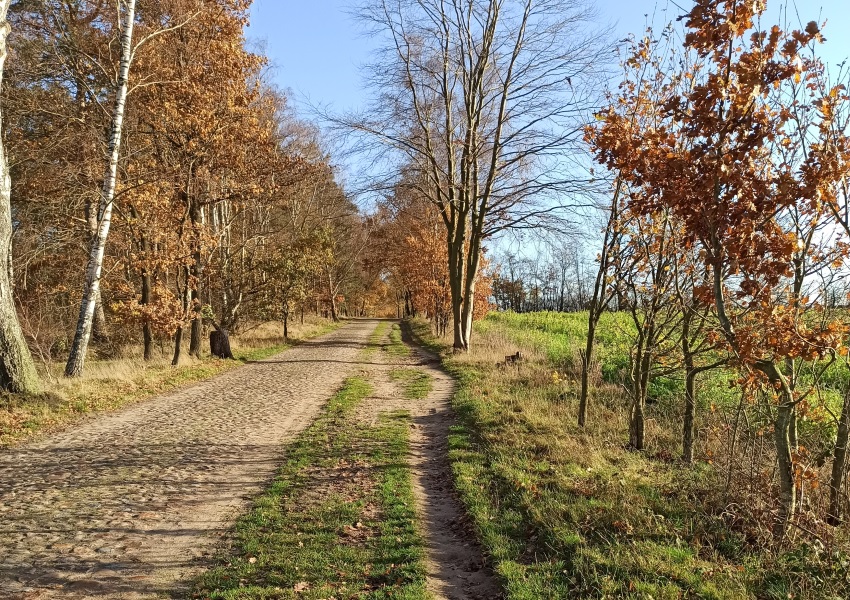 Bergauf im Sonnenschein