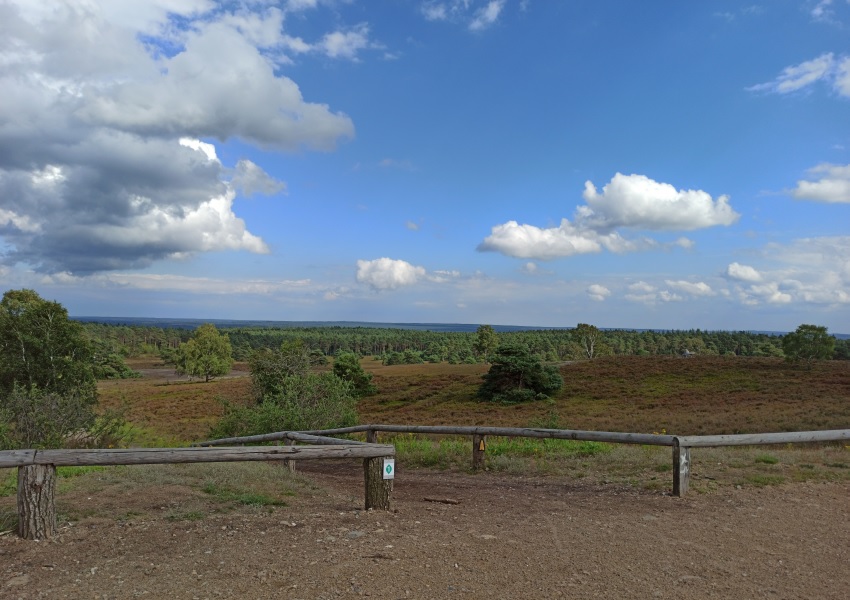 Blick vom Brunsberg