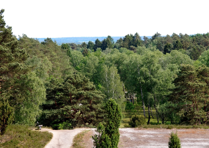 Blick vom Pferdekopf