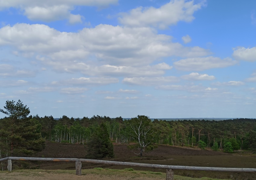 Brunsberg Aussicht