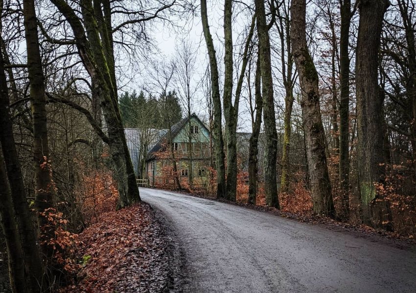 Seppenser Mühle – Lost Place