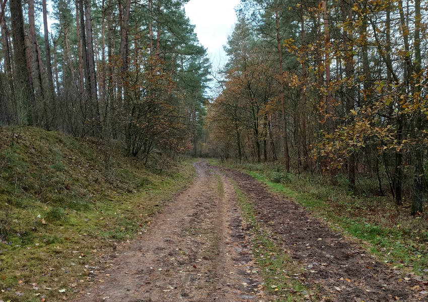 Die kleine Tour de Matsch