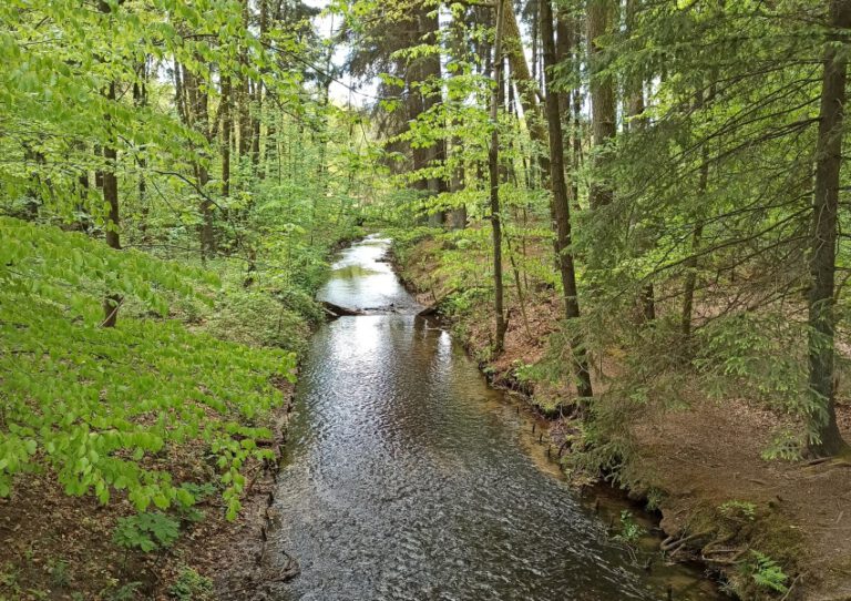 Mühlenbach Mühlenbach