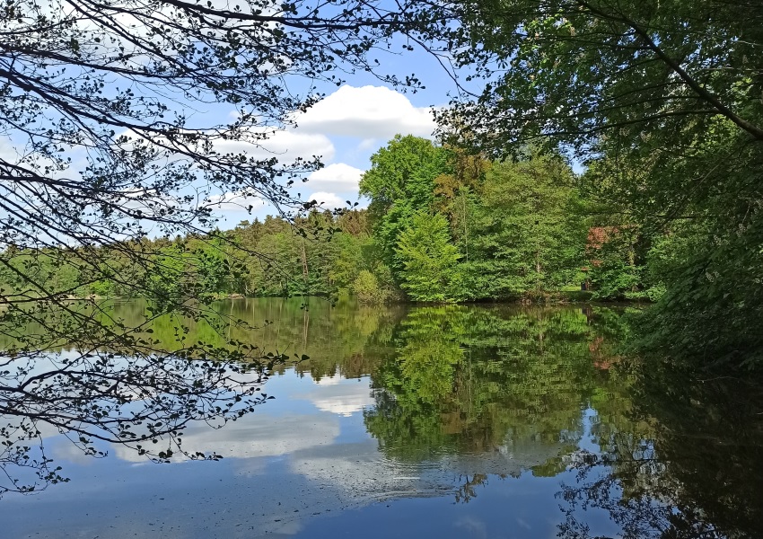 Mühlenteich Mühlenteich