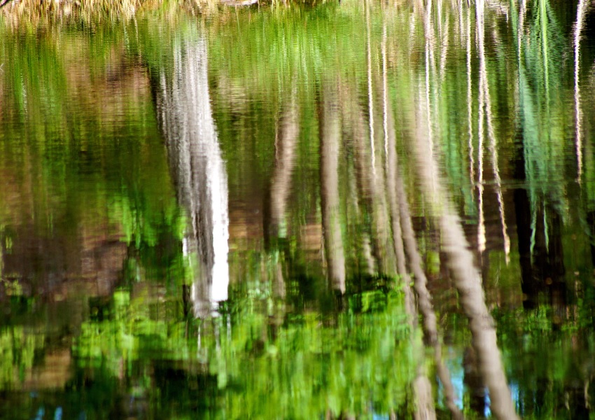 Moorteiche im Buesenbachtal