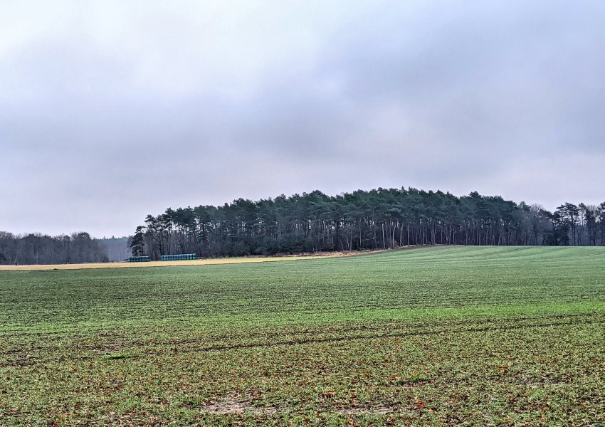 Wald und Feld