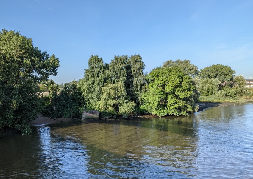 Walkingtour Hamburg > Buchholz