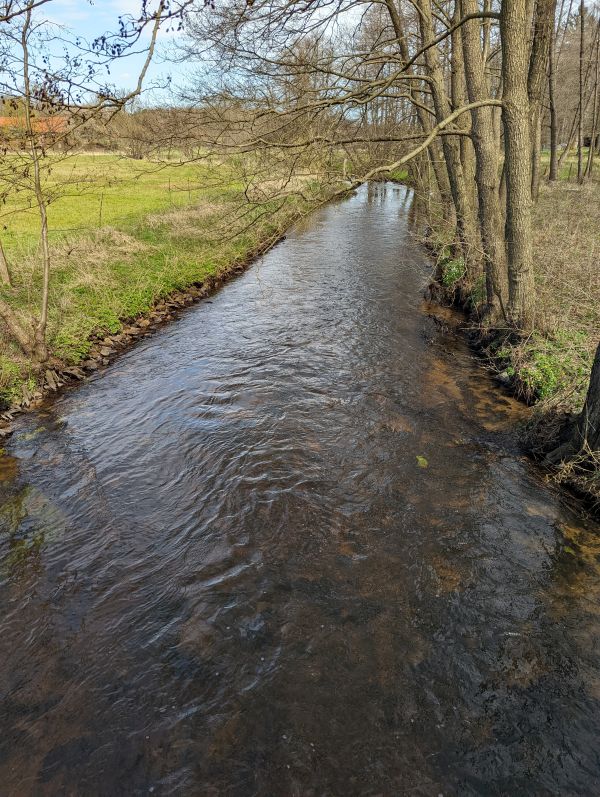 Die Seeve auf dem Rückweg