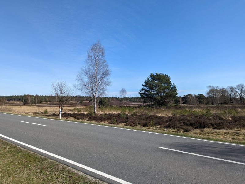 Heideflächen auf dem Rückweg