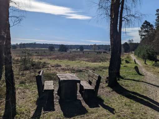 Sitzplatz in der Heide