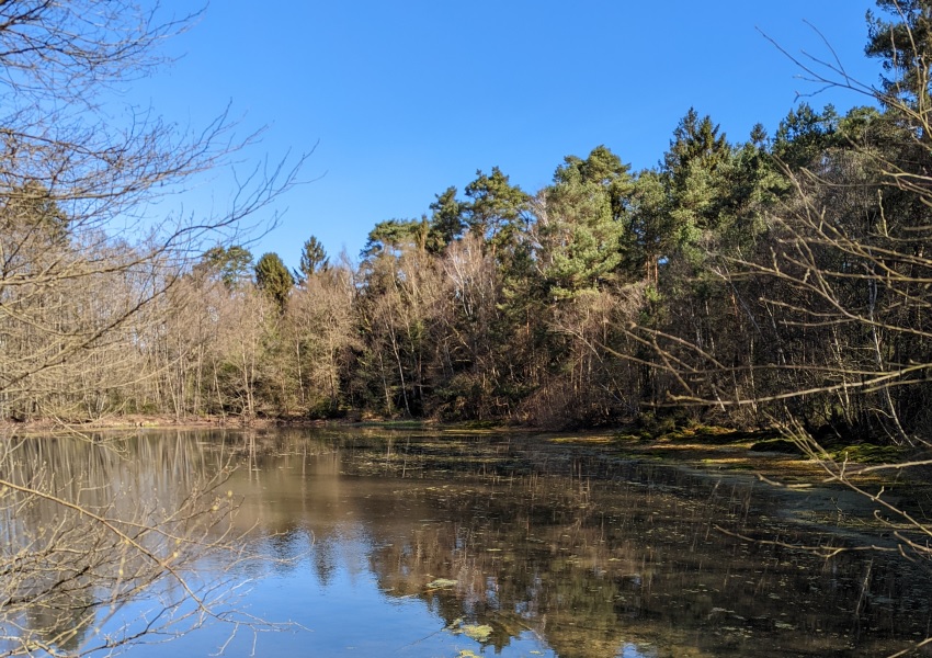 Die Seevequelle in der Heide