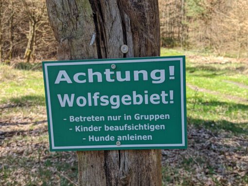 Wolfsgebiet