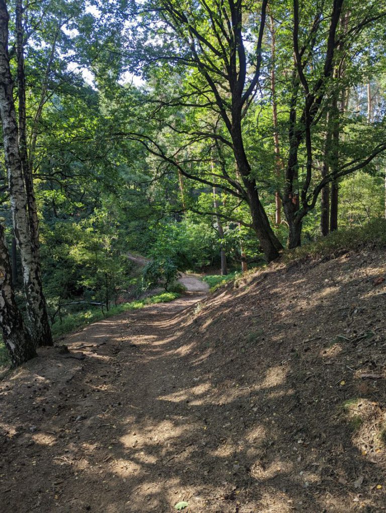 Abstiege in der Heide