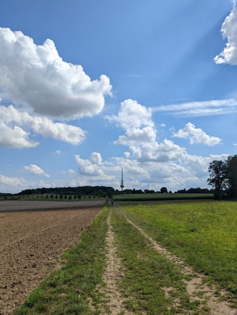 Fernsehturm in Langenrehm