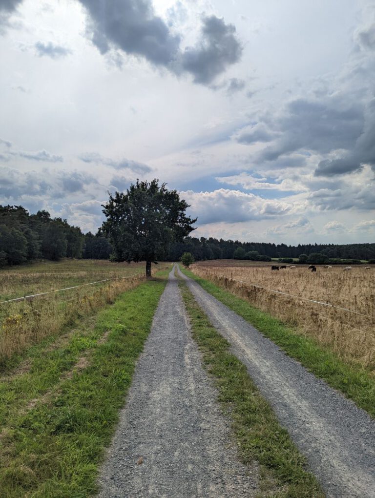 Wanderweg bei Dibbersen