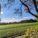 Walking Sport - Die Hausrunde