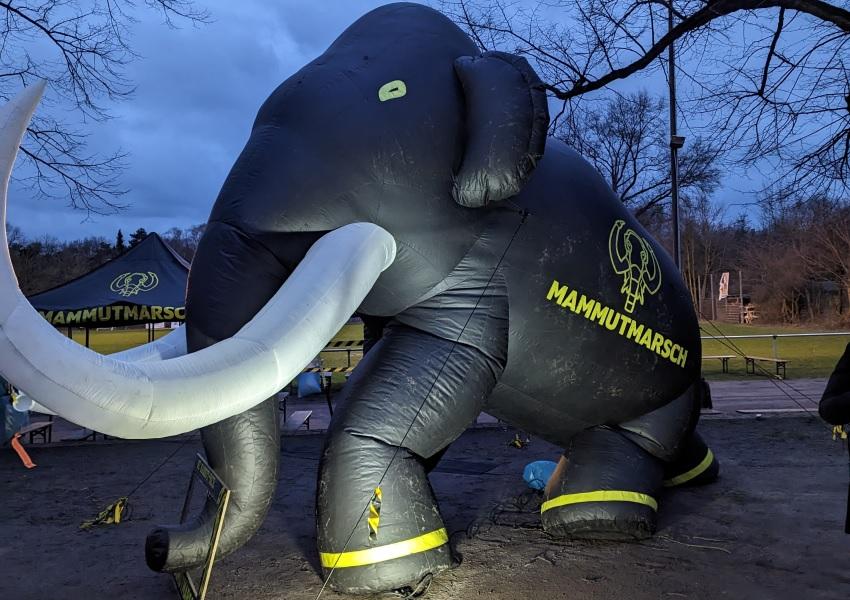 Mammut Start