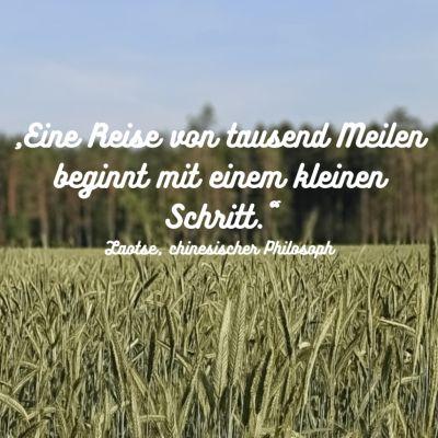 Zitat Laotse