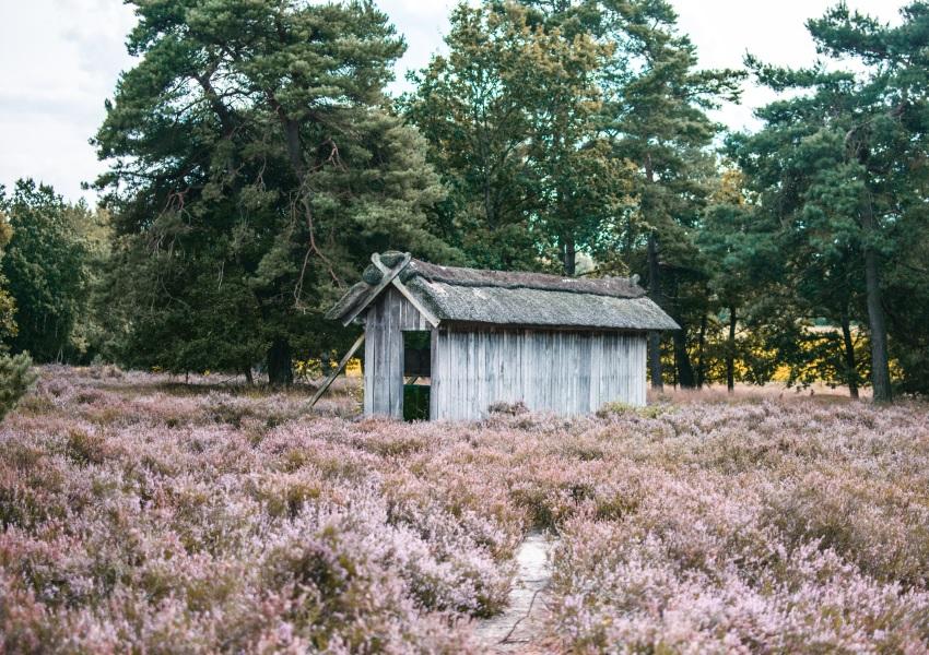 Bienenhaus in der Heide