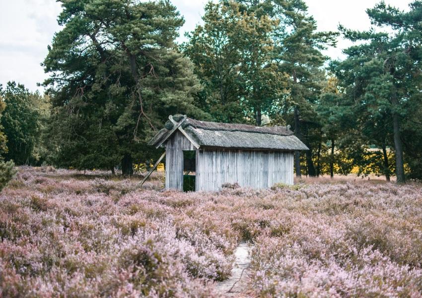 Bienenhaus in der Heide