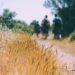 Walking, Gehen und Wandern