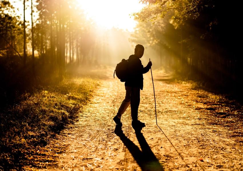 Walking: Die einfachste Art der Bewegung – Walking Trainingsplan