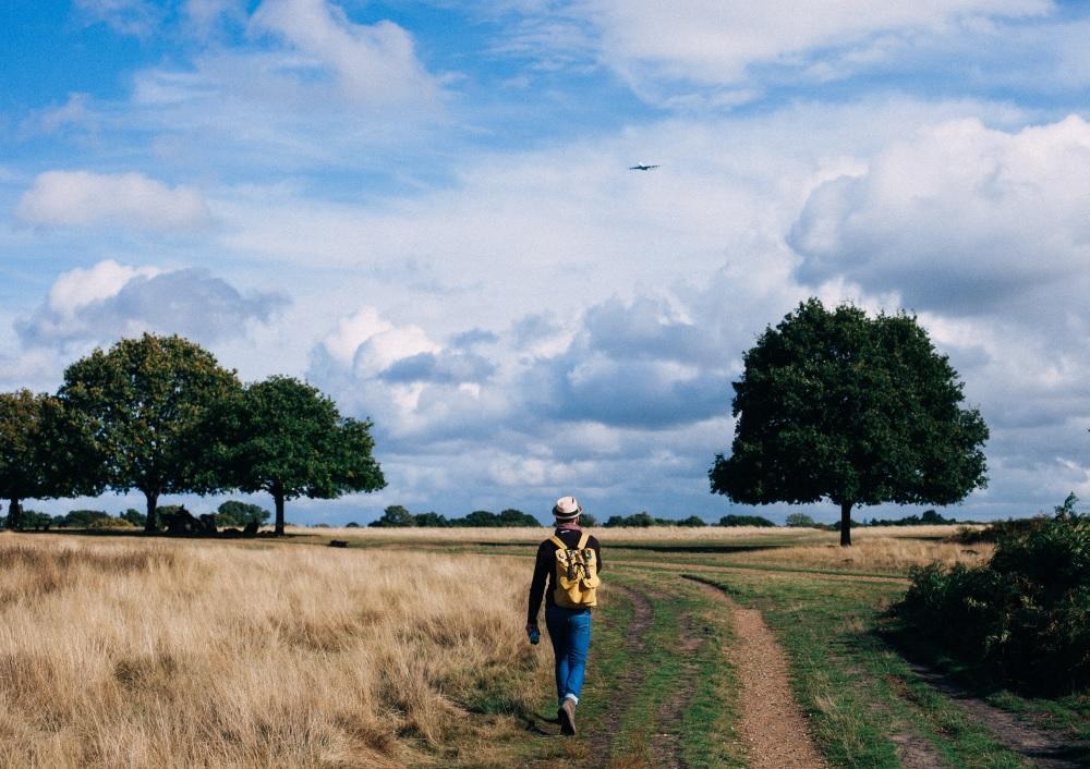 Walking Trainingsplan