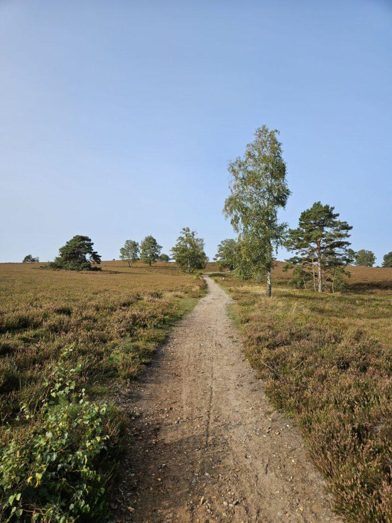 Aufstieg am Brunsberg