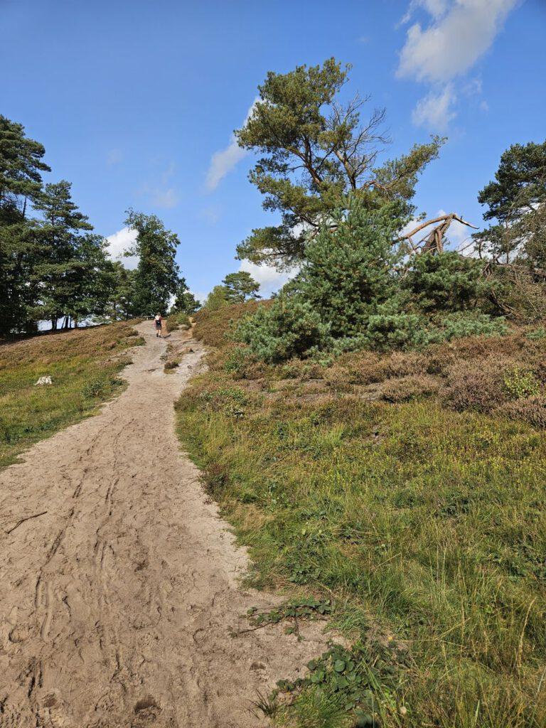 Aufstieg auf den Pferdekopf im Büsenbachtal