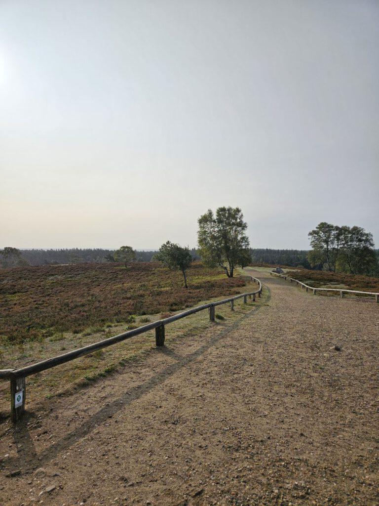 Aussicht am Brunsberg