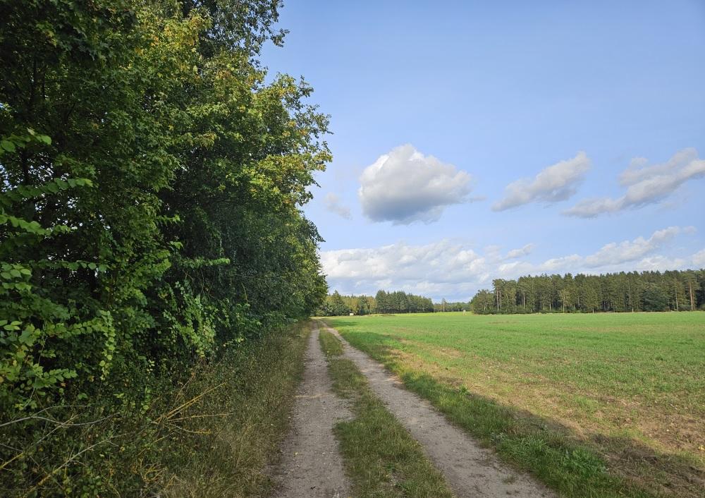 Letzter Feldweg