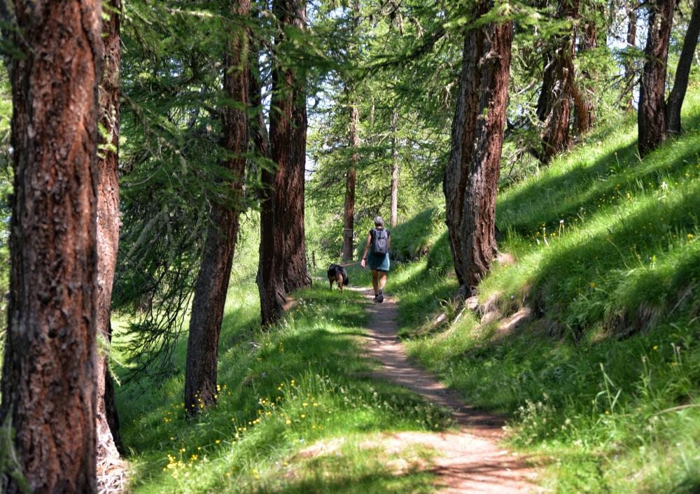 Spaziergänge in der Natur