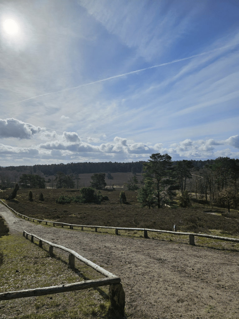 Blick vom Pferdekopf in die Heide