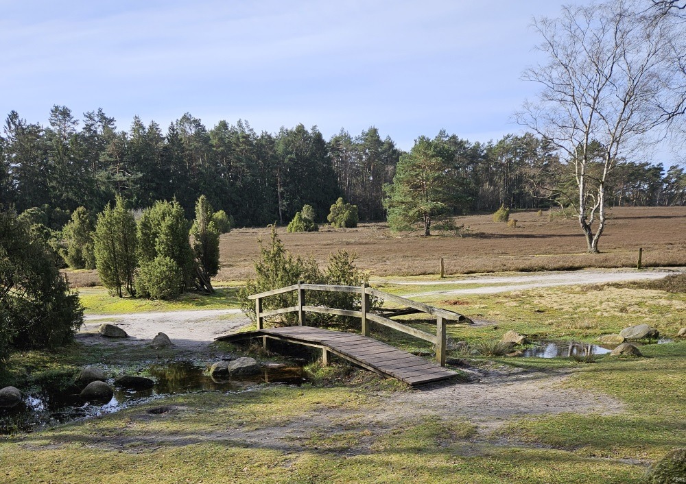 Brücke über den Büsenbach